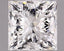 1.81ct Princess Lab Grown Diamond (Colour E, Clarity VS1, IGI Certified)