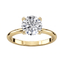 Completed Ring (Europe Size 50.00)