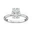 Completed Ring (Europe Size 57.25)