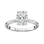 Completed Ring (Europe Size 49.50) - NOORDIA