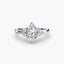 The Celestial Cluster Ring 2 - NOORDIA