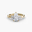 The Celestial Cluster Ring 2 - NOORDIA
